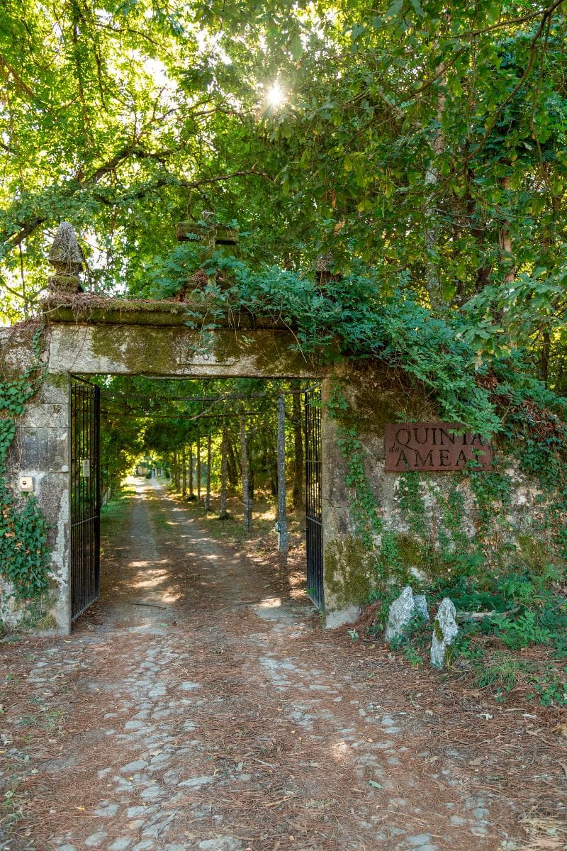 Quinta Do Ameal - Wine & Tourism 5