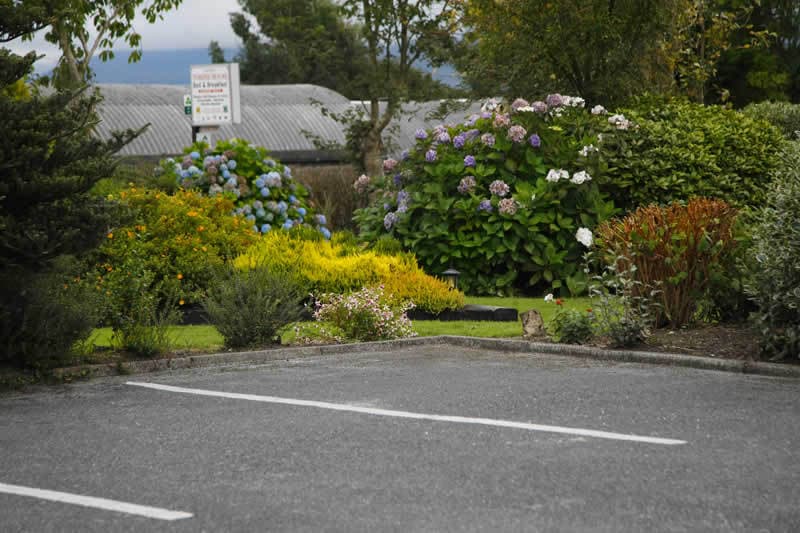 Torine House B&B (Adults Only) 3