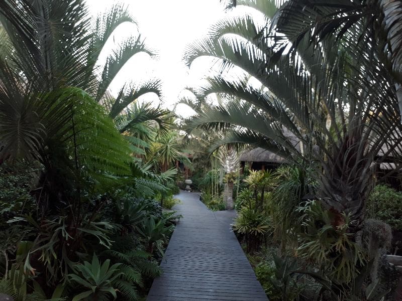 Lodge Afrique 2