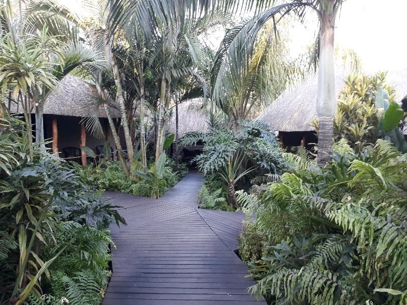 Lodge Afrique 3