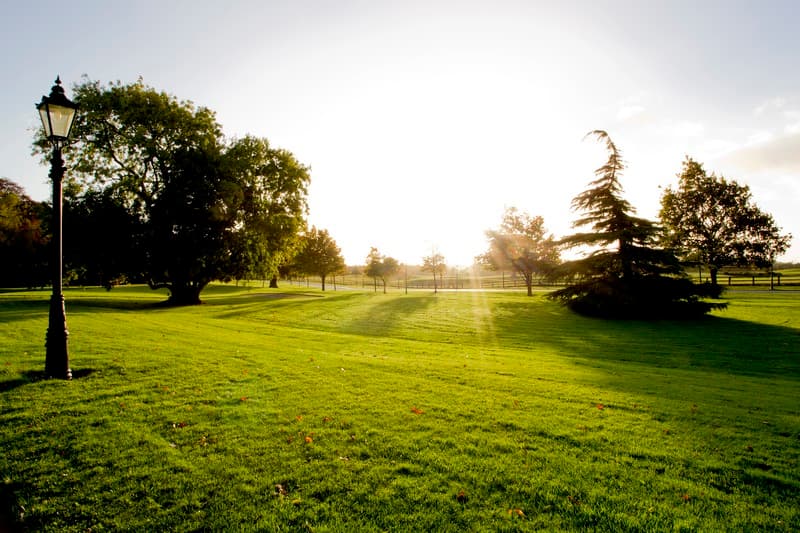 Moyvalley Hotel & Golf Resort photo 1