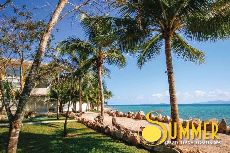 Summer Luxury Beach Resort 4