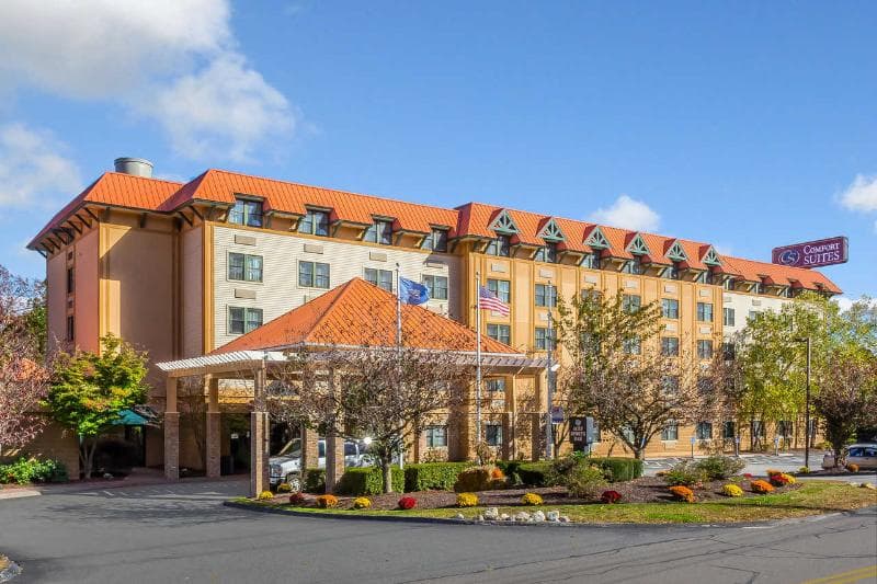 Comfort Suites Norwich 3