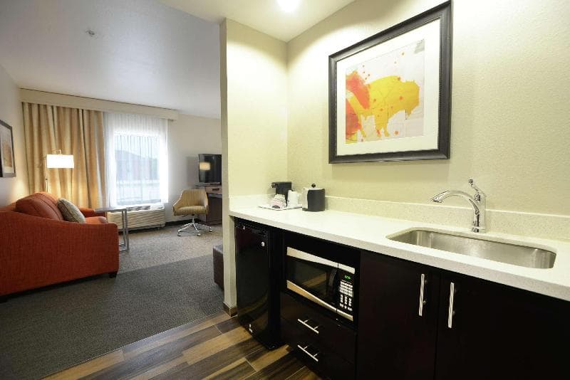 Hampton Inn & Suites Ponca City 4