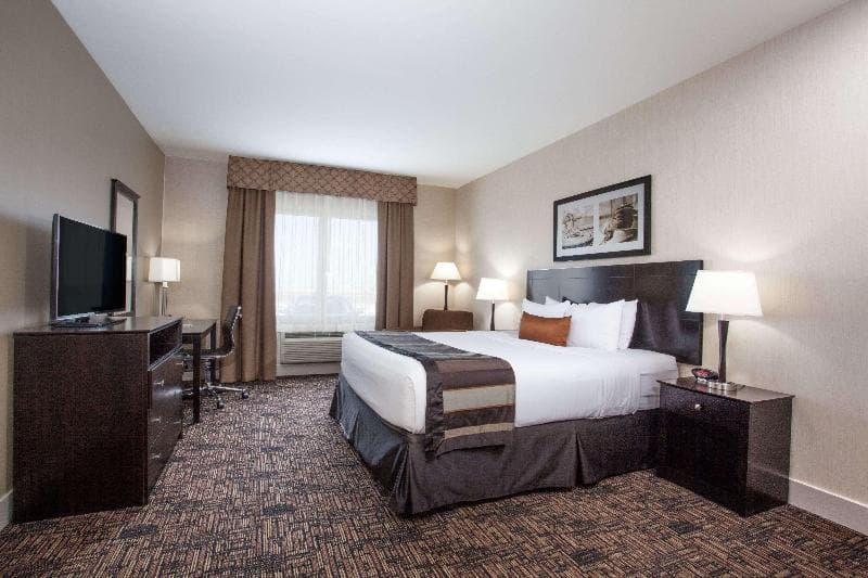 Radisson Hotel Edmonton Airport 5