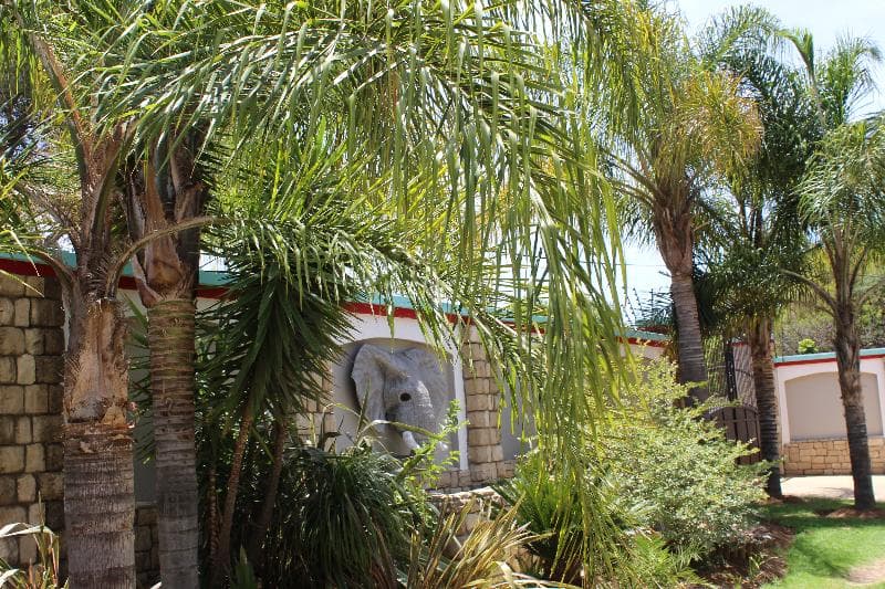 Africa Paradise 2