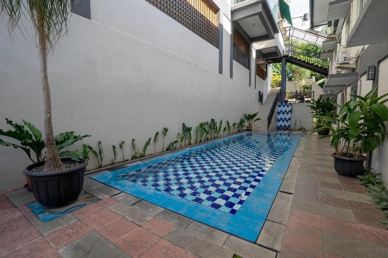 Dago's Hill 3