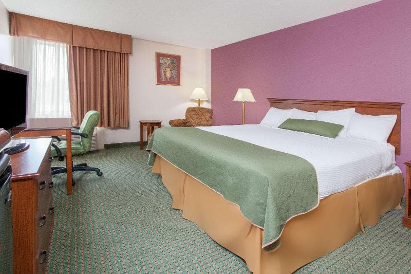 Days Inn & Suites by Wyndham Mount Pleasant 3