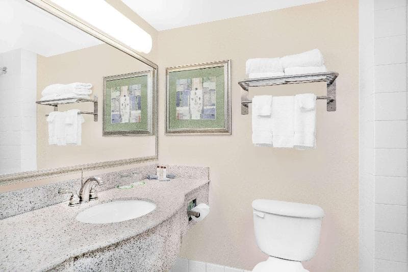 Wingate by Wyndham Ellicottville 4
