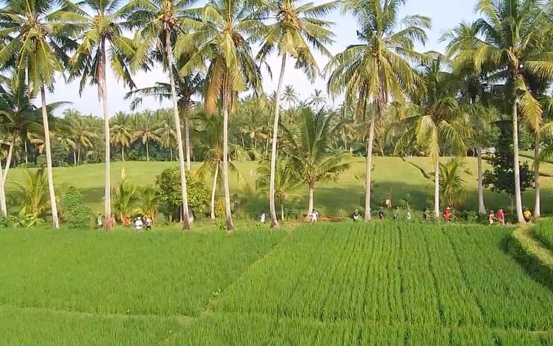 Visesa Ubud Resort 3