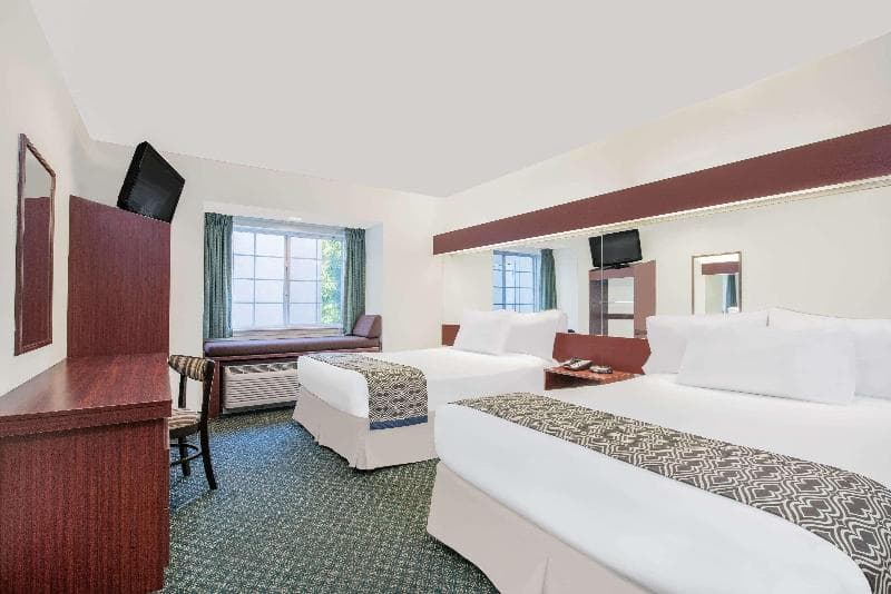 Microtel Inn & Suites by Wyndham Hamburg 4