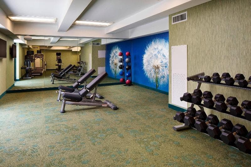 Springhill Suites Houston Downtown/Convention Cntr 3