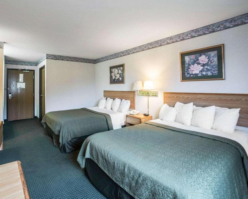 Quality Inn & Suites photo 1
