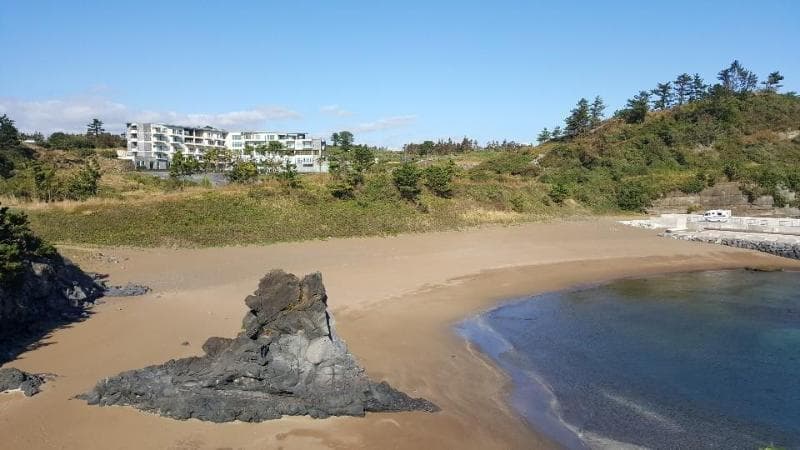 Y Resort Jeju photo 1