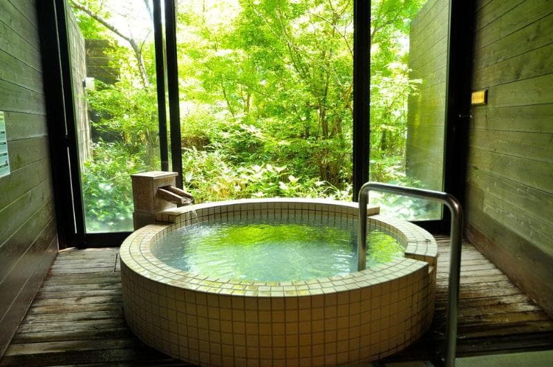 Kirishima Kanko Hotel (Adults only) 4