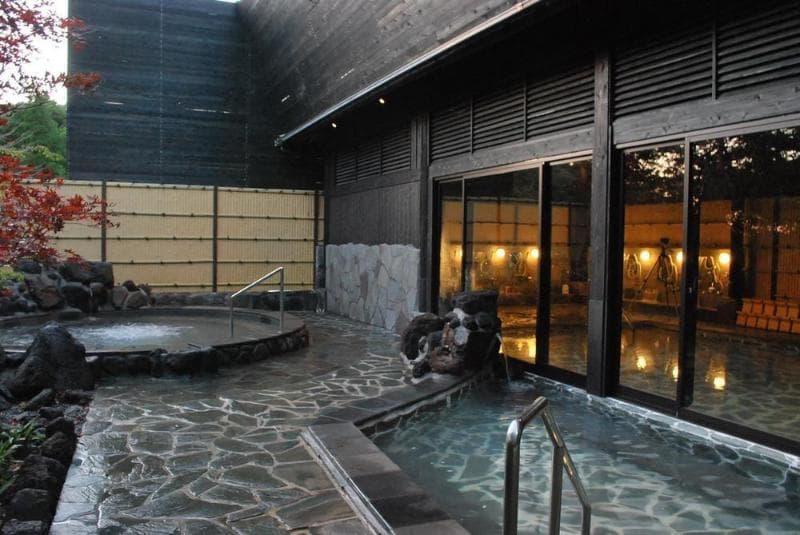 Kirishima Kanko Hotel (Adults only) 5
