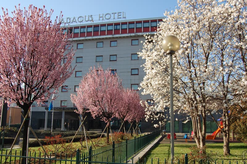 Abacus 5