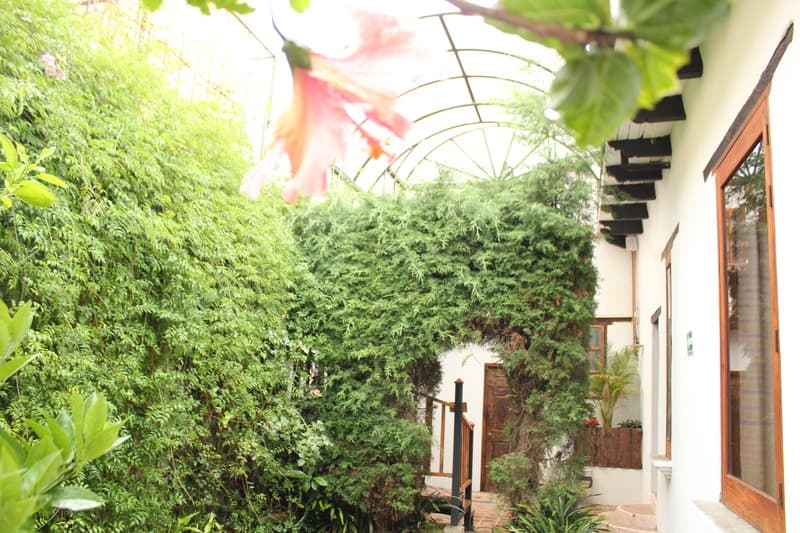 Sereno Art Hotel 2