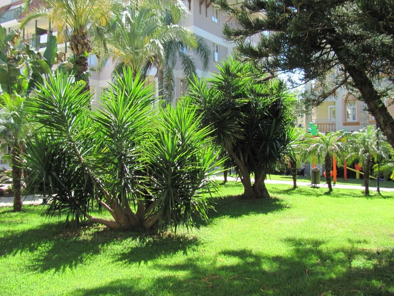 Side Village Hotel 4