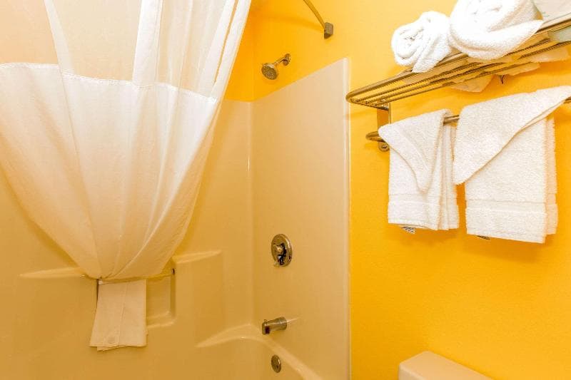 Quality Inn Albertville 3