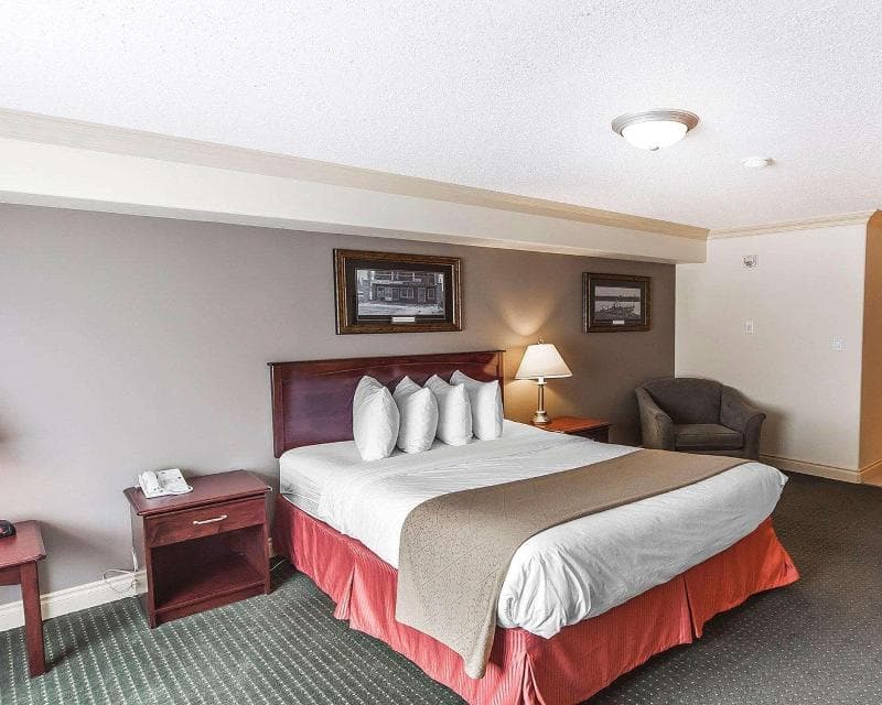 Quality Inn & Suites 4