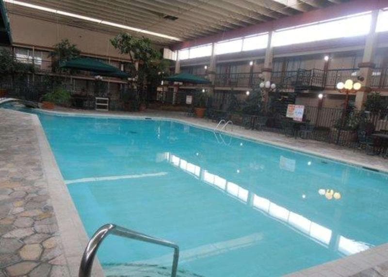 Quality Inn & Suites I-25 North 4