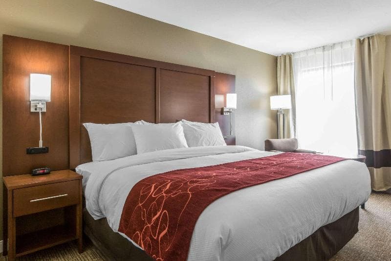 Comfort Inn & Suites 3