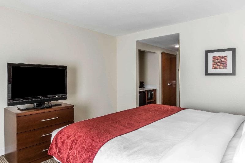 Comfort Inn & Suites 4