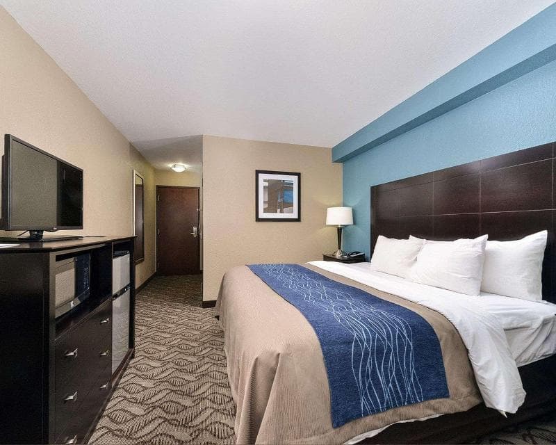 Comfort Inn & Suites Springfield I-55 2
