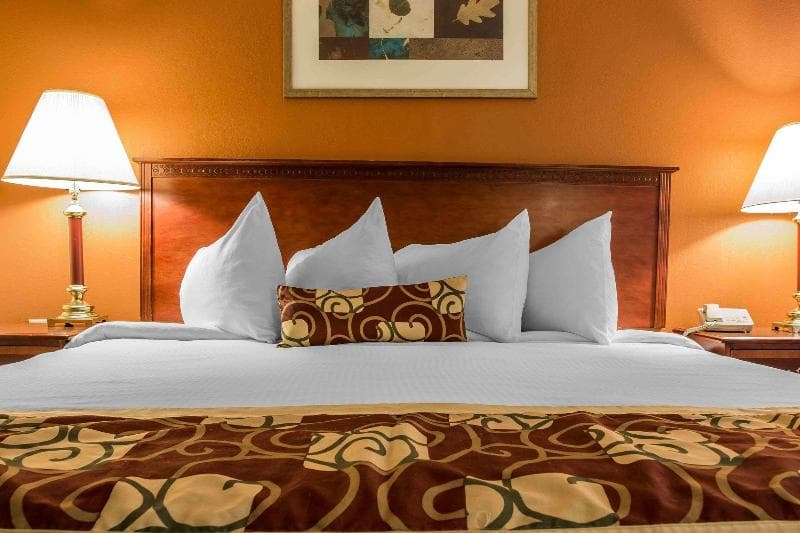 Rodeway Inn 4