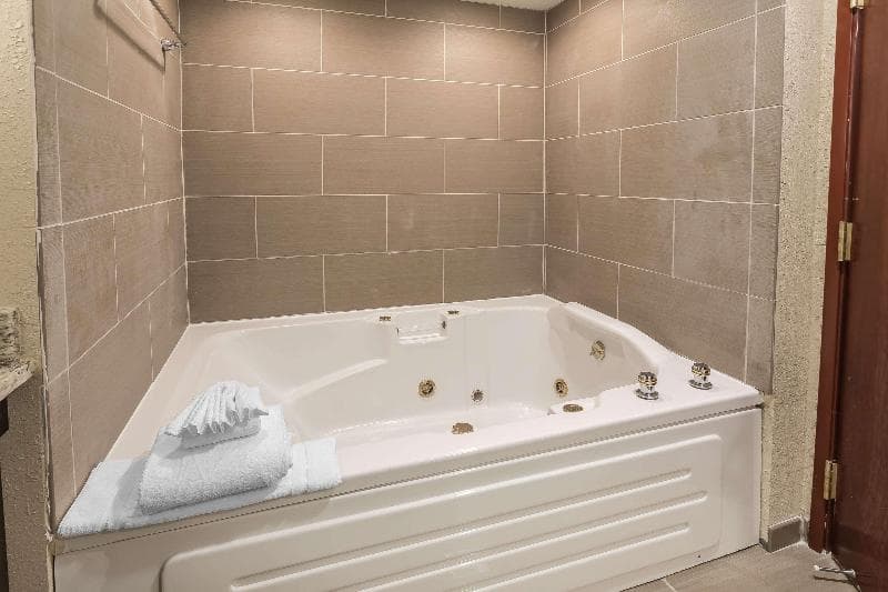 Comfort Inn & Suites Allen Park - Dearborn photo 1