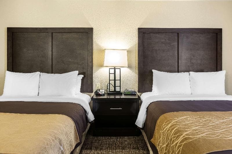 Comfort Inn & Suites Allen Park - Dearborn 3