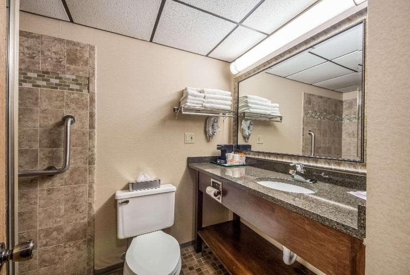 Quality Inn And Suites Manistique Area 3