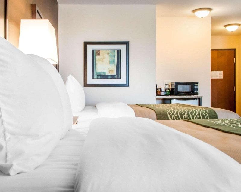 Comfort Inn & Suites 5