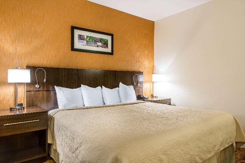 Quality Inn & Suites Middletown - Newport 3