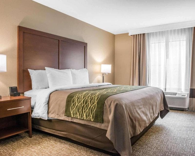 Comfort Inn & Suites Pittsburgh 2