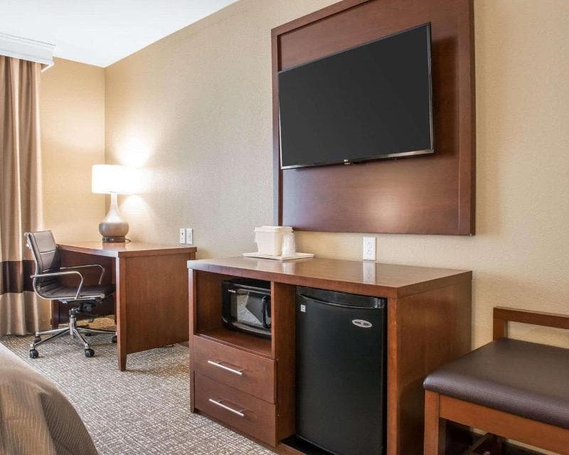Comfort Inn & Suites Pittsburgh 3