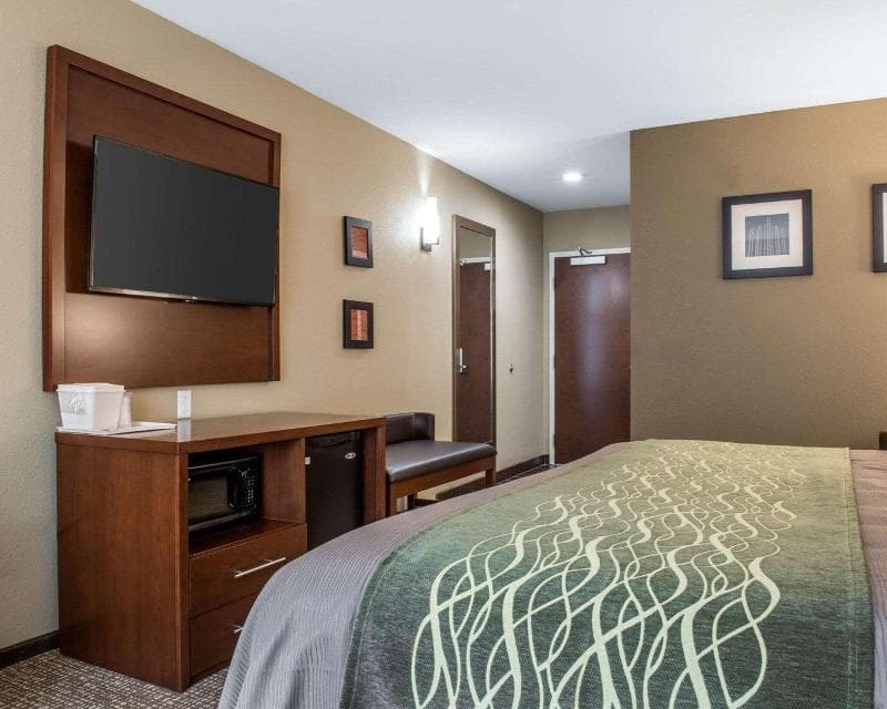 Comfort Inn & Suites Pittsburgh 4