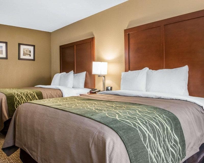 Comfort Inn & Suites Pittsburgh 5