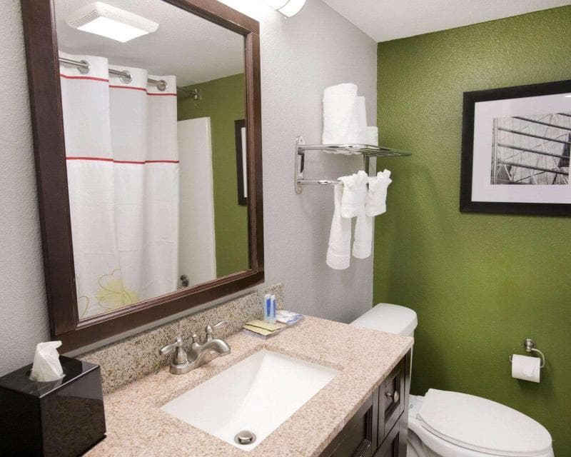 Rodeway Inn & Suites Downtown North 3