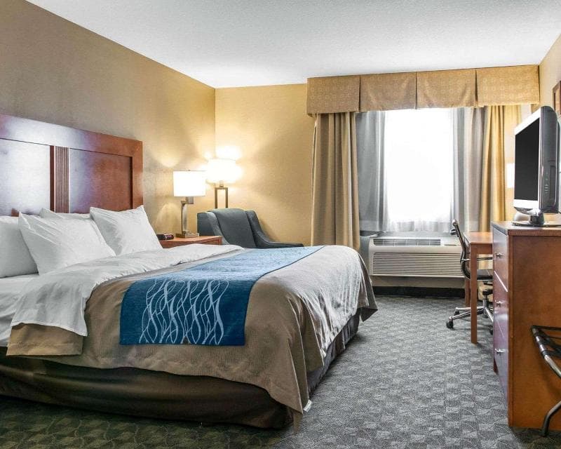 Comfort Inn & Suites Napoleon Area 4