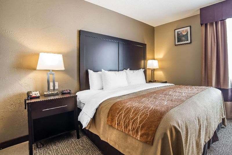 Comfort Inn & Suites 5