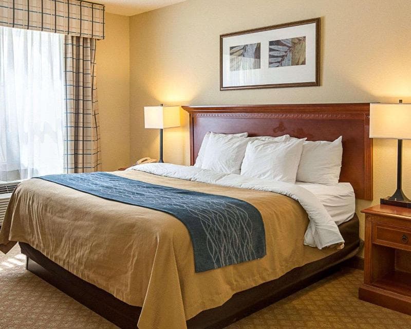 Comfort Inn & Suites Virginia Beach Norfolk Airpo 5