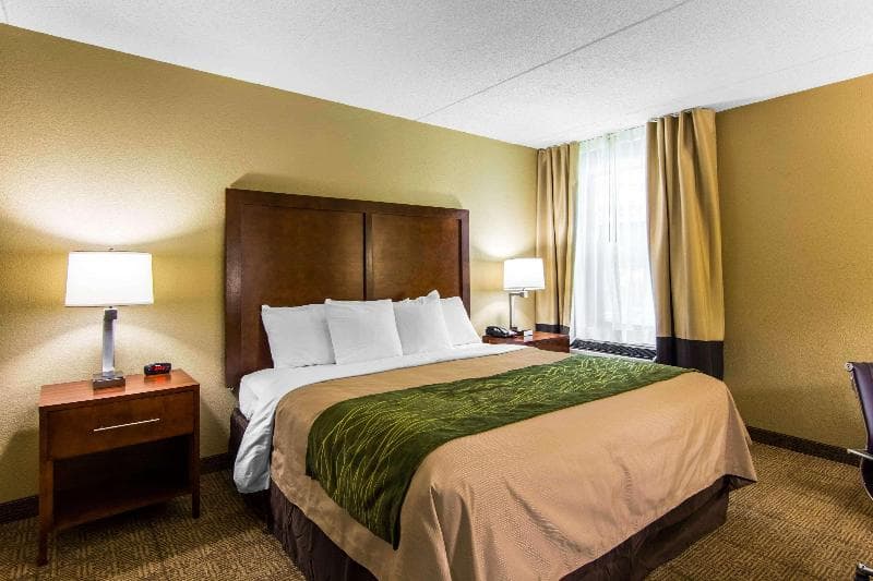 Comfort Inn Newport News/Williamsburg East main