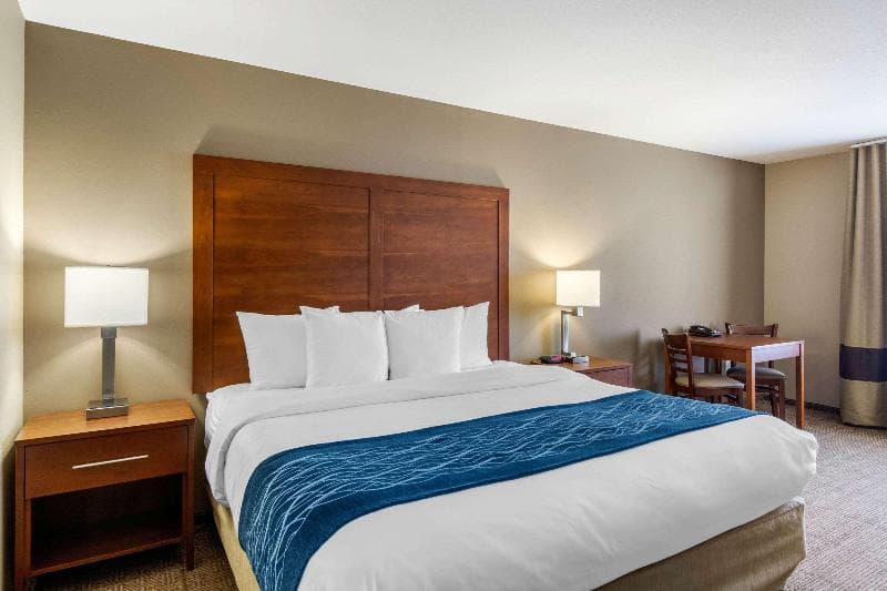 Comfort Inn South Chesterfield - Colonial Heights 4