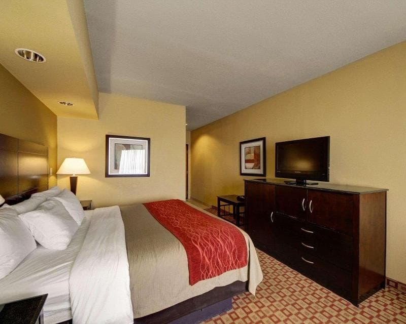 Comfort Inn & Suites Donna Near I-2 2