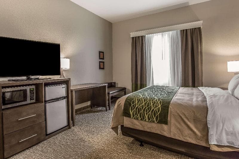 Comfort Inn & Suites Snyder 5
