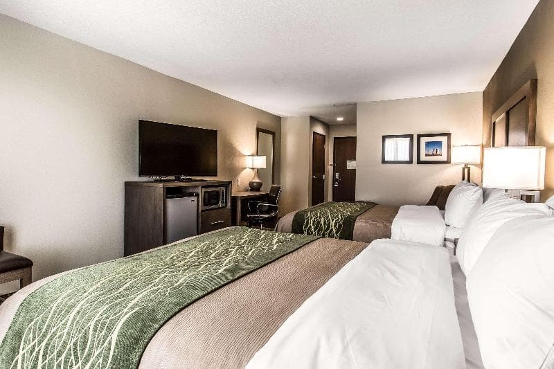 Comfort Inn & Suites Snyder 4