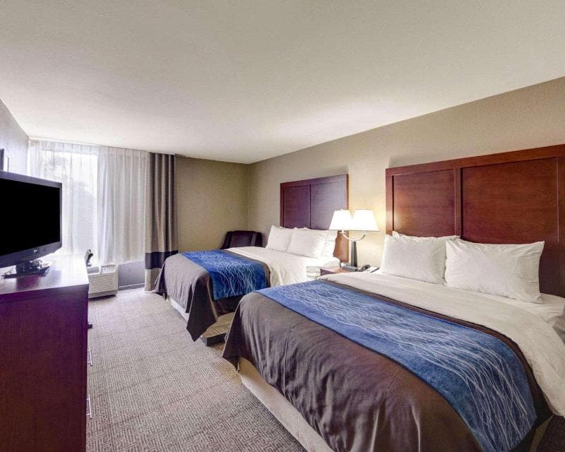 Comfort Inn & Suites Plano East 4