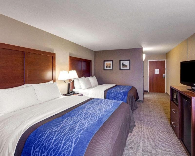 Comfort Inn & Suites Plano East 5